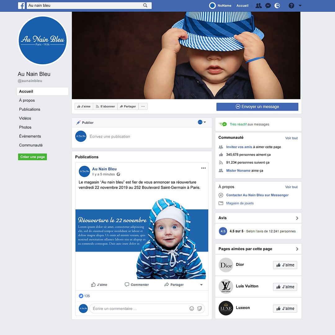 Mise en situation de la page Facebook pour la marque Au Nain Bleu
