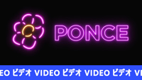 Image tirée de la vidéo explicative du quizz