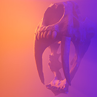 Rendu SKULL du Inktober 2020 (édition 3D)
