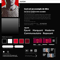 Planche de style pour le site d'un beatboxer appelé NAPOM